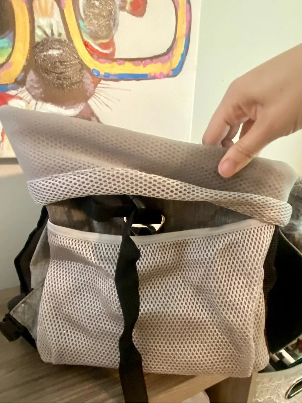 PetAmi Gray Pet Bicycle Backpack - Foldable Travel Carrier